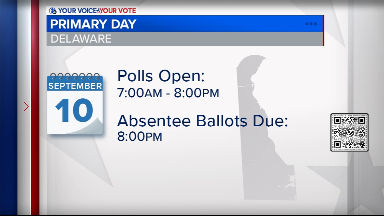 Voters in Delaware are set to decide the nominees for several political contests, including a potentially historic race for U.S. House.